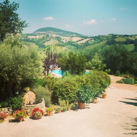 Casale Il Cerqueto Bed & Breakfast San Severino Marche Room photo