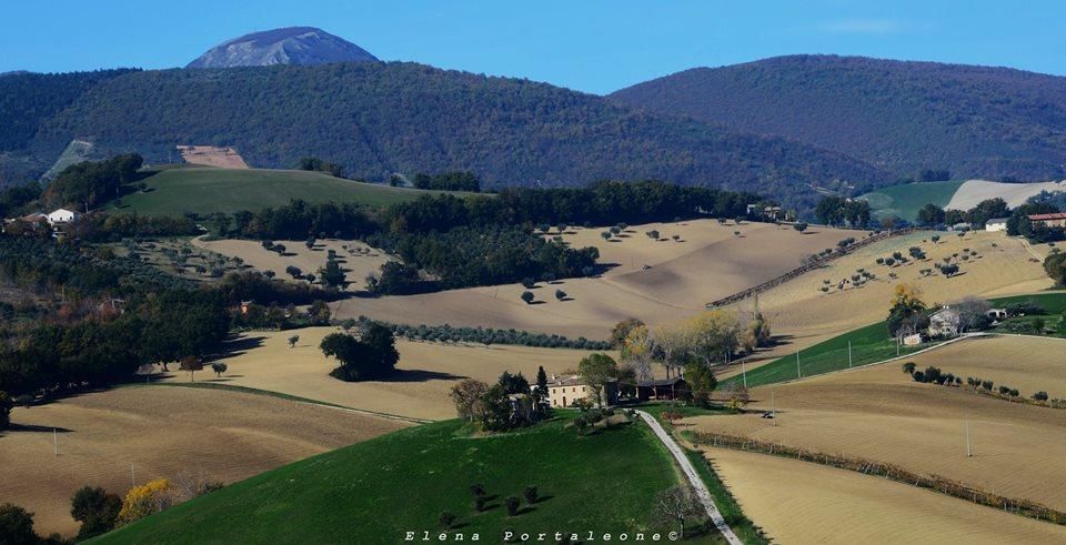 Casale Il Cerqueto Bed & Breakfast San Severino Marche Exterior photo
