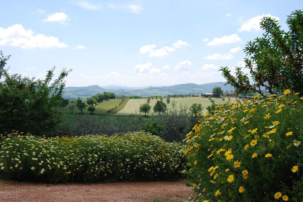 Casale Il Cerqueto Bed & Breakfast San Severino Marche Exterior photo