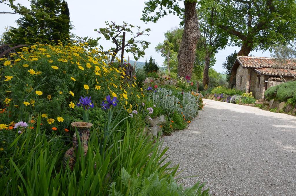 Casale Il Cerqueto Bed & Breakfast San Severino Marche Exterior photo