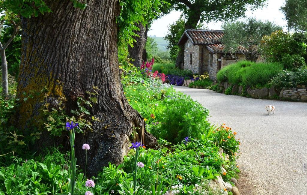 Casale Il Cerqueto Bed & Breakfast San Severino Marche Exterior photo